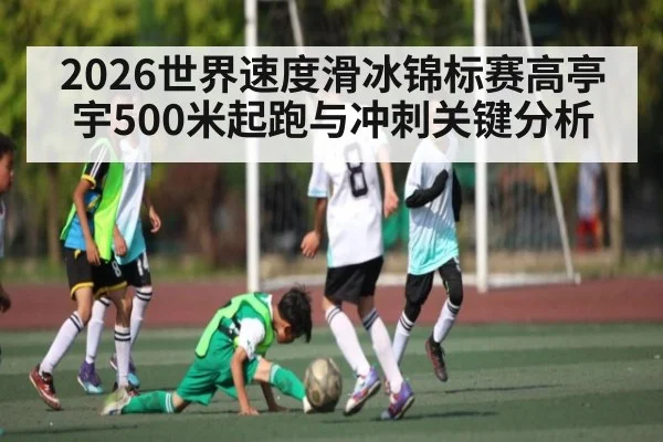 2026世界速度滑冰锦标赛高亭宇500米起跑与冲刺关键分析